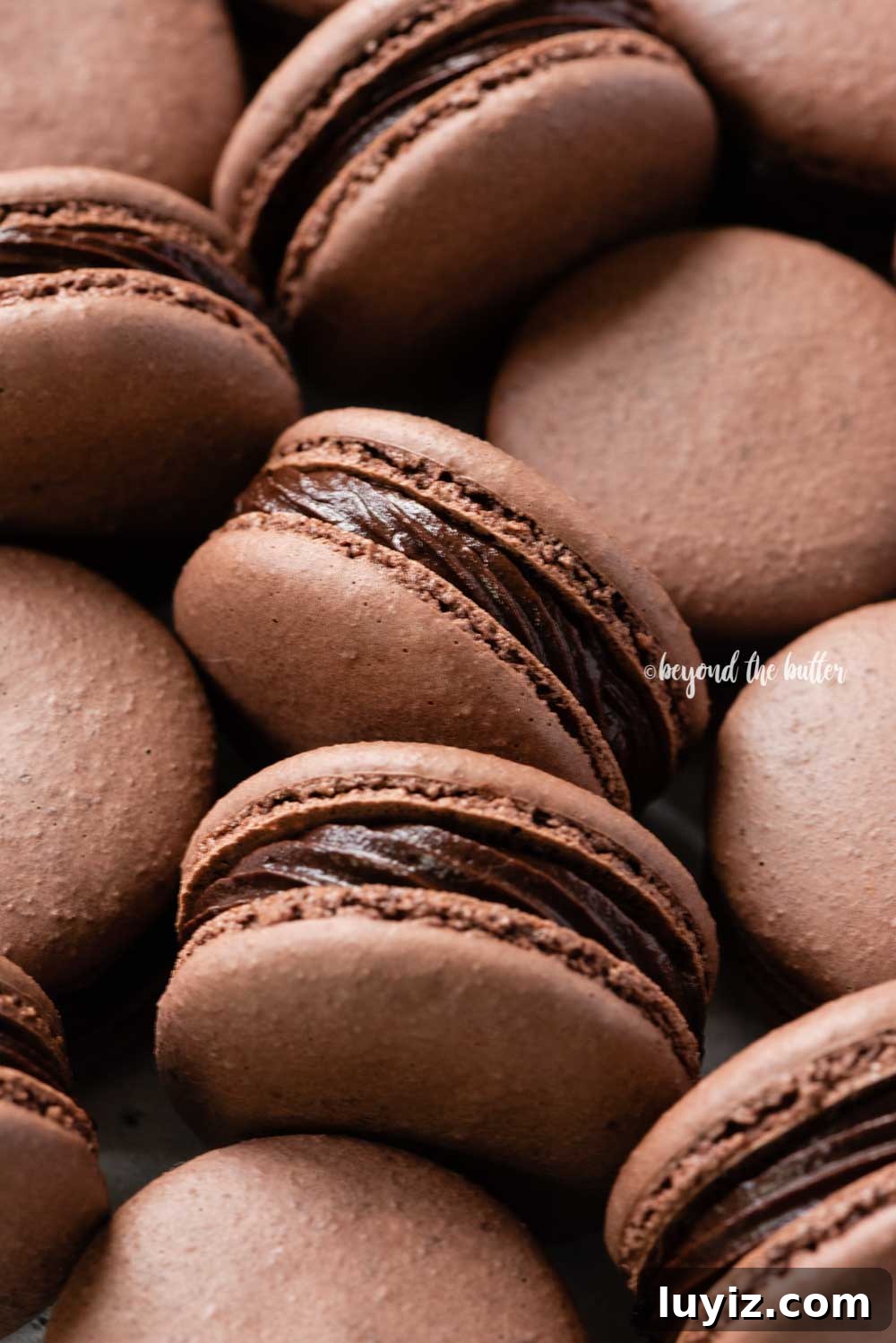 Decadent Dark Chocolate Macarons Recipe for Perfect Crisps 5 Angled image of randomly placed dark chocolate macarons | All Images © Beyond the Butter™