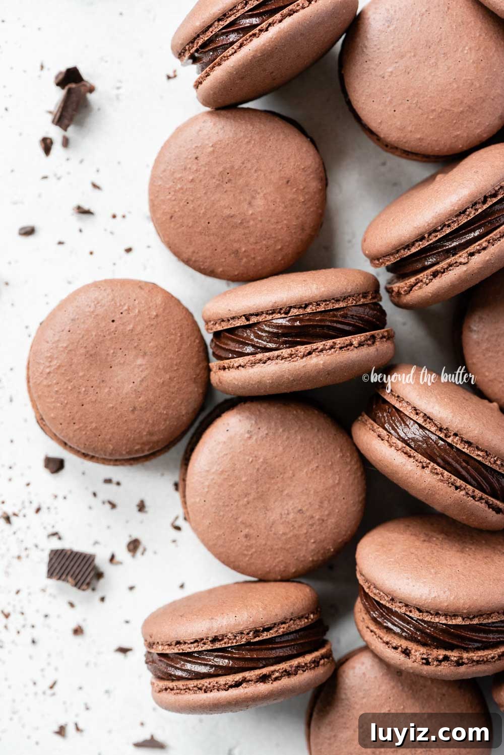 Decadent Dark Chocolate Macarons Recipe for Perfect Crisps 6 Overhead image of randomly placed dark chocolate macaons with bit of chocolate pieces around them | All Images © Beyond the Butter™