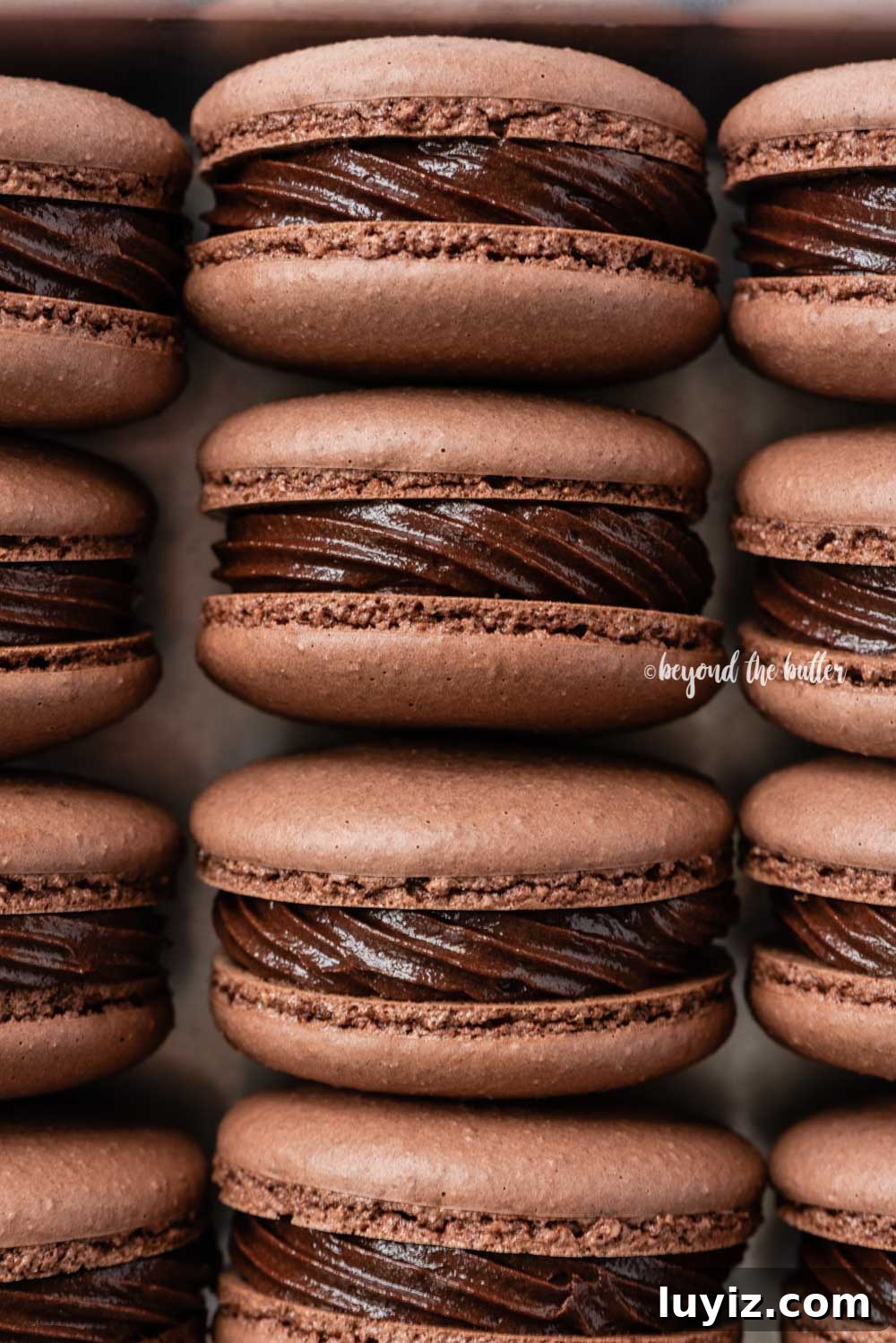 Decadent Dark Chocolate Macarons Recipe for Perfect Crisps 8 Small baking tray lined with dark chocolate macarons | All Images © Beyond the Butter™