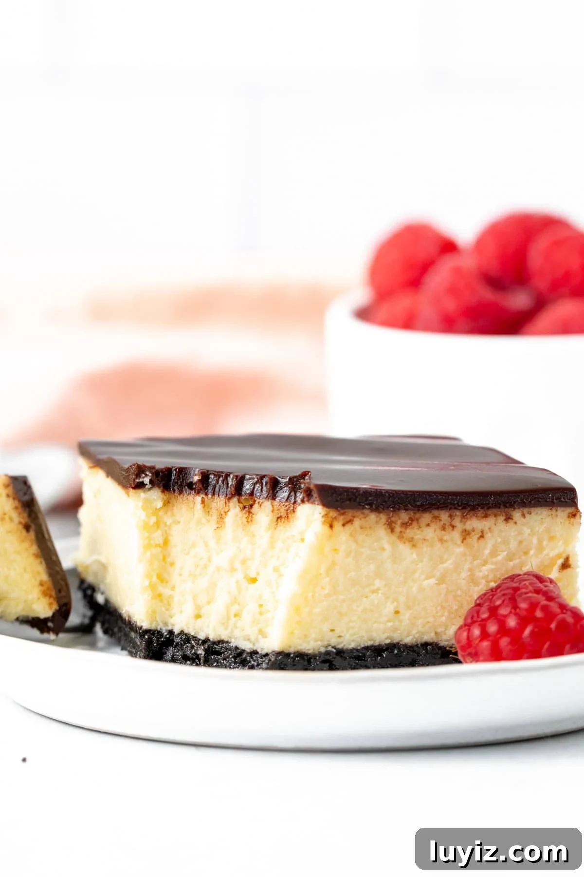Creamy White Chocolate Cheesecake Bars Recipe 7 White chocolate cheesecake square with chocolate topping and Oreo crust, with bite taken out
