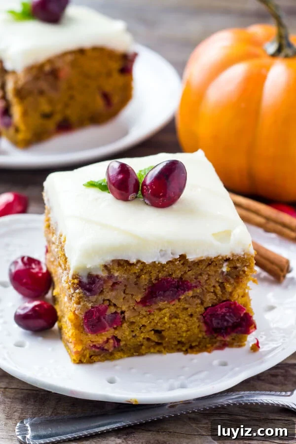 Cranberry Pumpkin Cake with Cream Cheese Frosting Recipe 3 Overhead view of 2 slices of cranberry pumpkin cake with cream cheese frosting on white plates. Small pumpkin in the background.