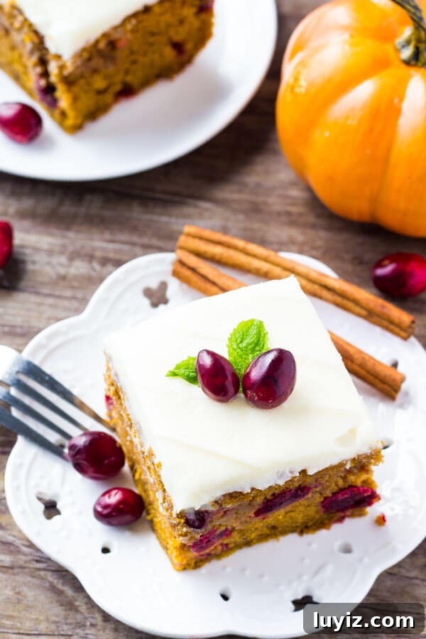 Cranberry Pumpkin Cake with Cream Cheese Frosting Recipe 6 Overhead view of 2 slices of cranberry pumpkin cake with cream cheese frosting on white plates on a wooden table. Mini pumpkin in the background.