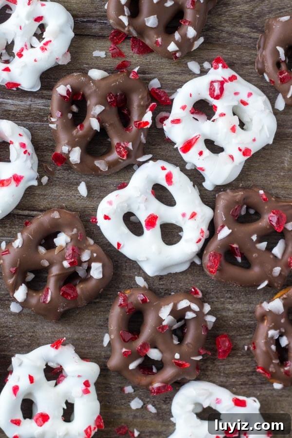Chocolate Peppermint Pretzels: Festive Candy-Covered Treats 3 Salty & sweet - these Chocolate Peppermint Pretzels are the perfect holiday treat. So easy & only 3 ingredients, they make a great edible gift too!
