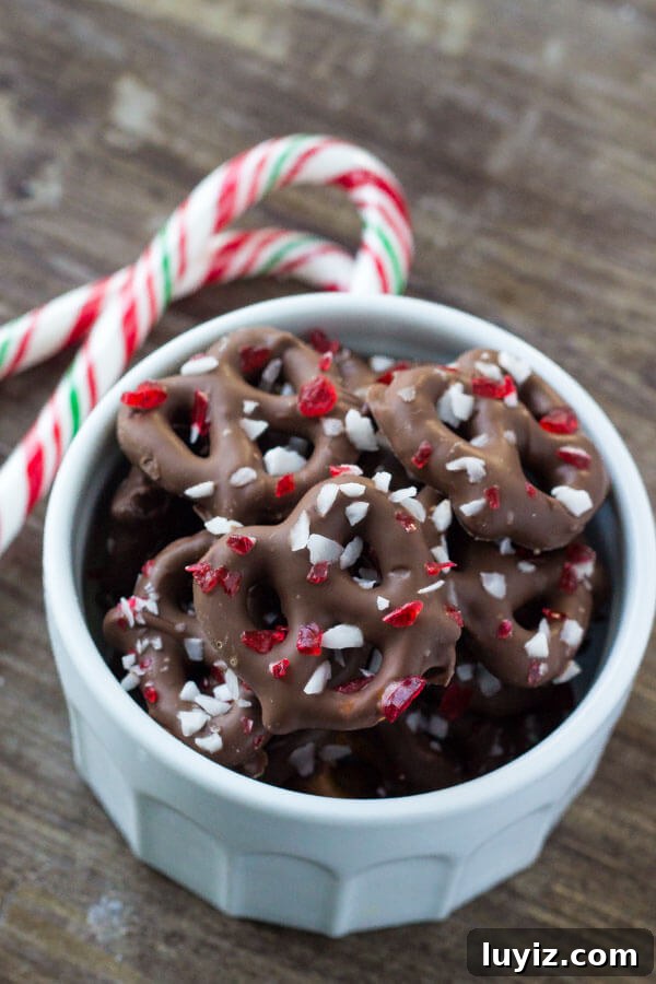 Chocolate Peppermint Pretzels: Festive Candy-Covered Treats 5 Salty & sweet - these Chocolate Peppermint Pretzels are the perfect holiday treat. So easy & only 3 ingredients, they make a great edible gift too!