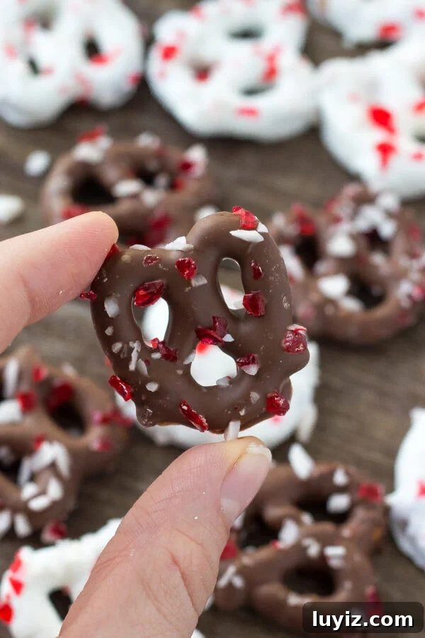 Chocolate Peppermint Pretzels: Festive Candy-Covered Treats 6 Salty & sweet - these Chocolate Peppermint Pretzels are the perfect holiday treat. So easy & only 3 ingredients, they make a great edible gift too!