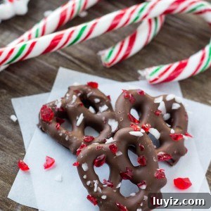 Salty & sweet - these Chocolate Peppermint Pretzels are the perfect holiday treat. So easy & only 3 ingredients, they make a great edible gift too!