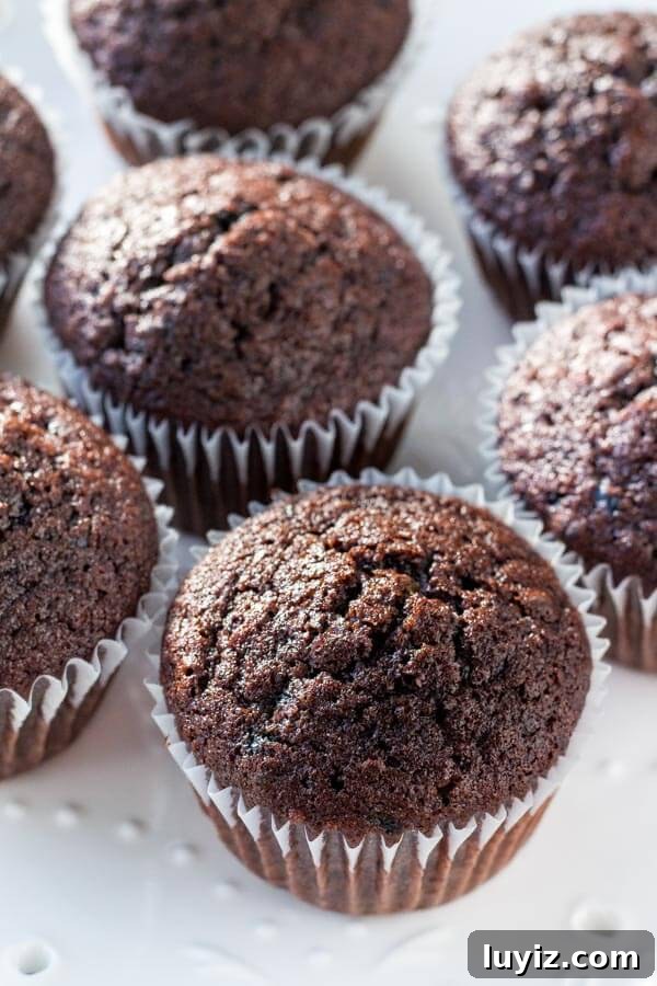 Mocha Cupcakes with Silky Coffee Buttercream Frosting 4 Moist, soft, fudgy chocolate cupcakes infused with coffee and topped with fluffy coffee frosting. These mocha cupcakes are perfect for true coffee lovers!