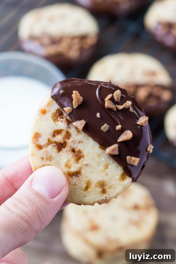 Toffee Icebox Cookies Recipe: Crispy, Buttery No-Bake Treats 2 Soft, buttery, melt-in-your-mouth sugar cookies with golden edges. Filled with toffee pieces & dipped in chocolate.