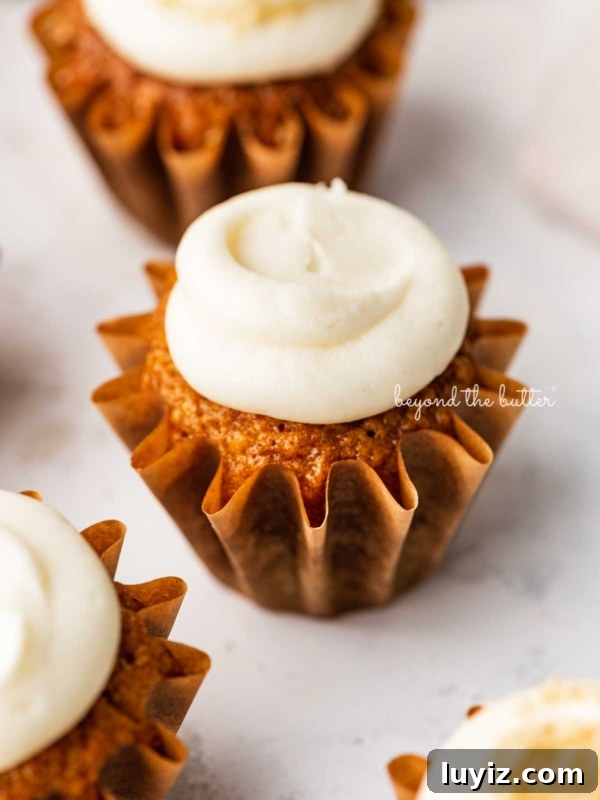 How to Make Sprinkled Heart Cupcakes: Step-by-Step Tutorial 5 Super moist carrot cake cupcakes topped with cream cheese frosting.