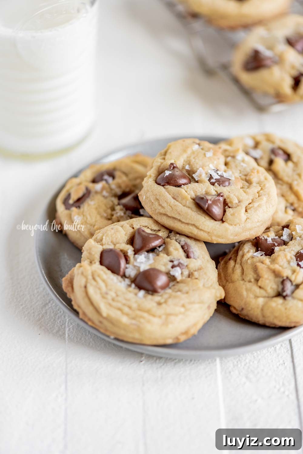 Ultimate Melt-in-Your-Mouth Chocolate Chip Cookies 3 Super Soft Chocolate Chip Cookies | All Images © Beyond the Butter, LLC