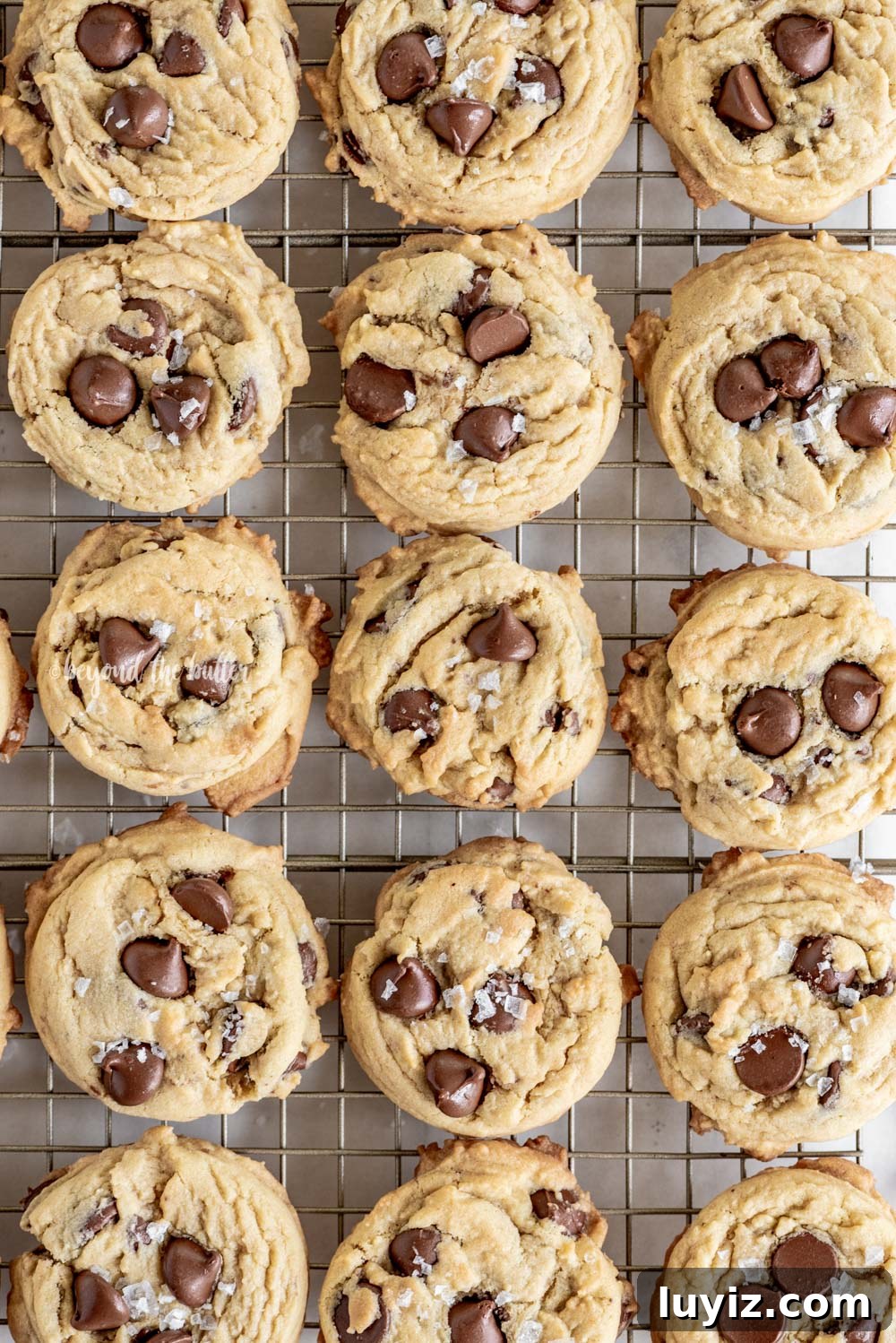 Ultimate Melt-in-Your-Mouth Chocolate Chip Cookies 4 Super Soft Chocolate Chip Cookies | All Images © Beyond the Butter, LLC