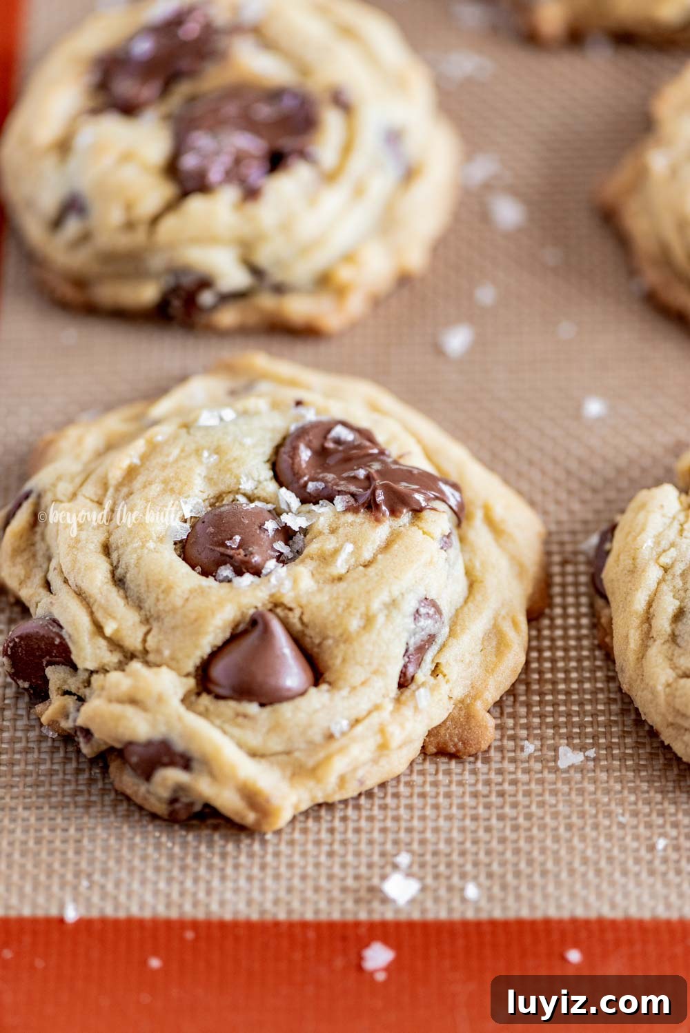 Ultimate Melt-in-Your-Mouth Chocolate Chip Cookies 5 Super Soft Chocolate Chip Cookies recipe | All Images © Beyond the Butter, LLC
