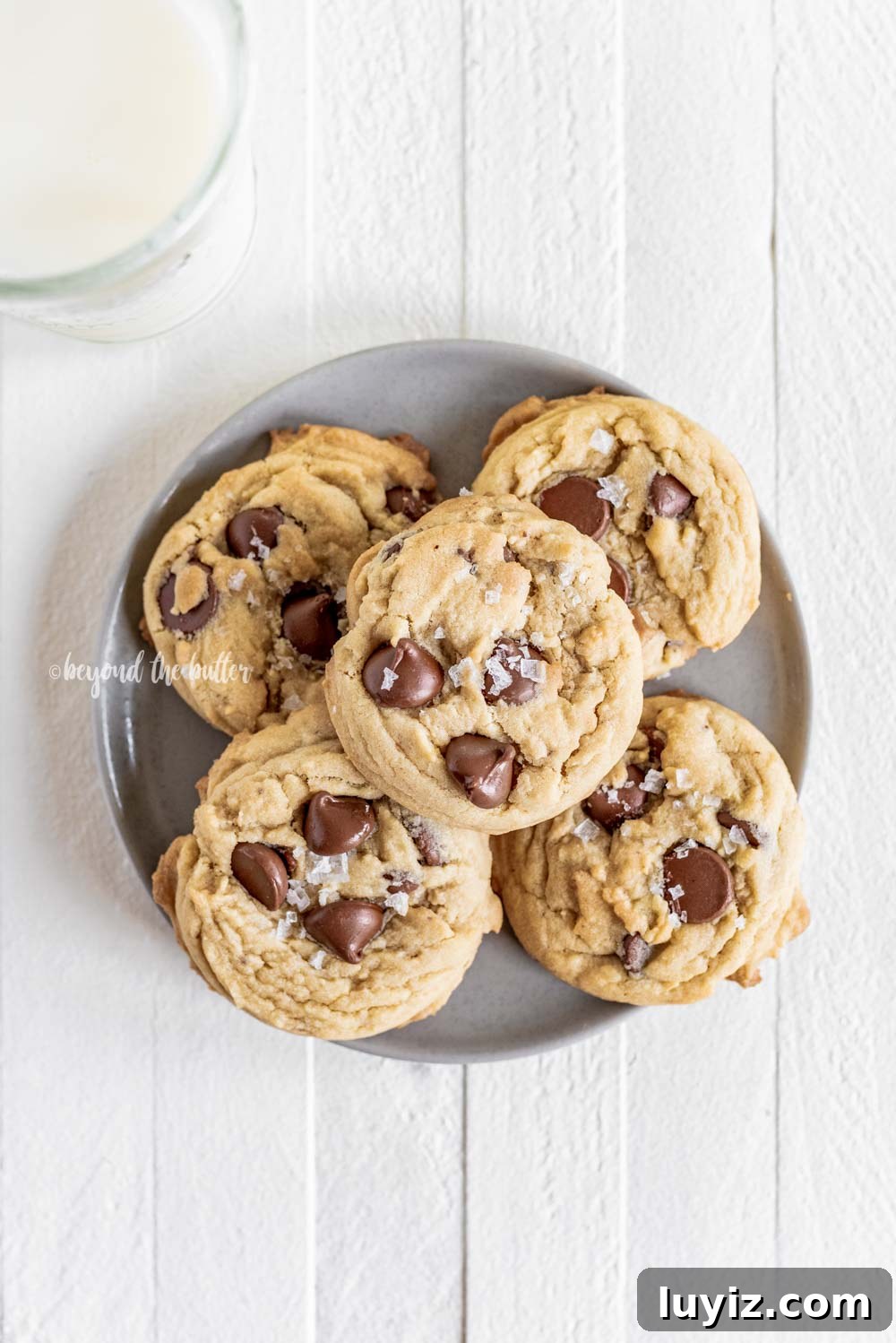 Ultimate Melt-in-Your-Mouth Chocolate Chip Cookies 7 Super Soft Chocolate Chip Cookies | All Images © Beyond the Butter, LLC