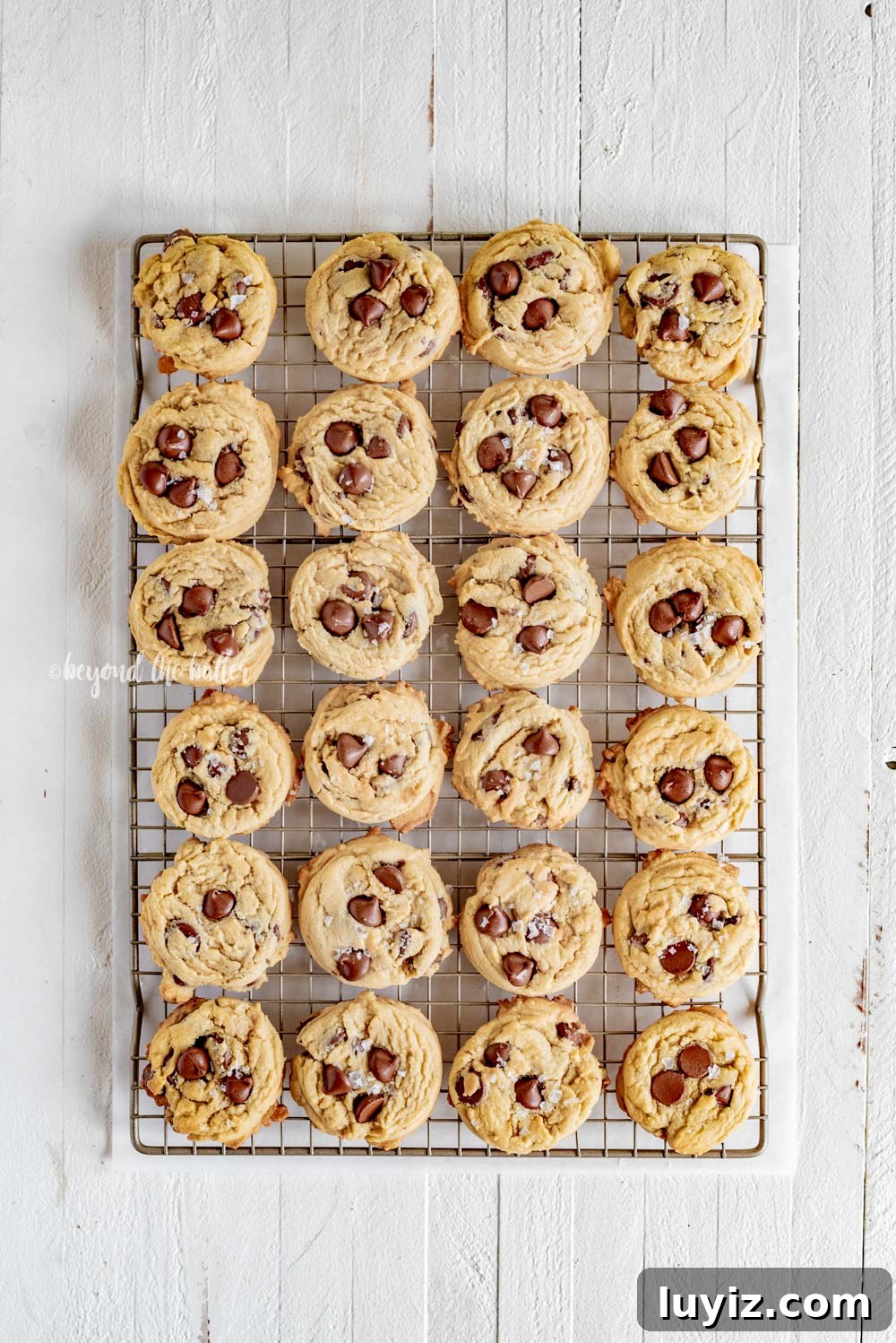 Ultimate Melt-in-Your-Mouth Chocolate Chip Cookies 8 Super Soft Chocolate Chip Cookies | All Images © Beyond the Butter, LLC