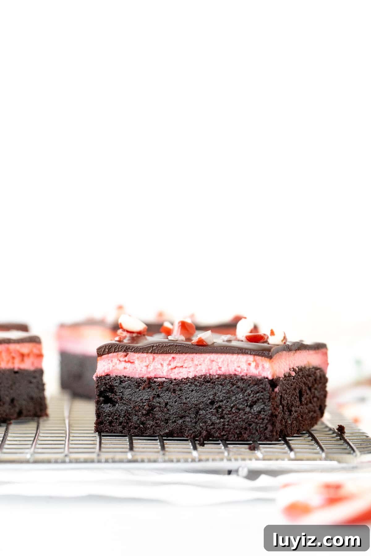Peppermint Swirl Brownies with Candy Cane Topping 2 Candy cane brownies