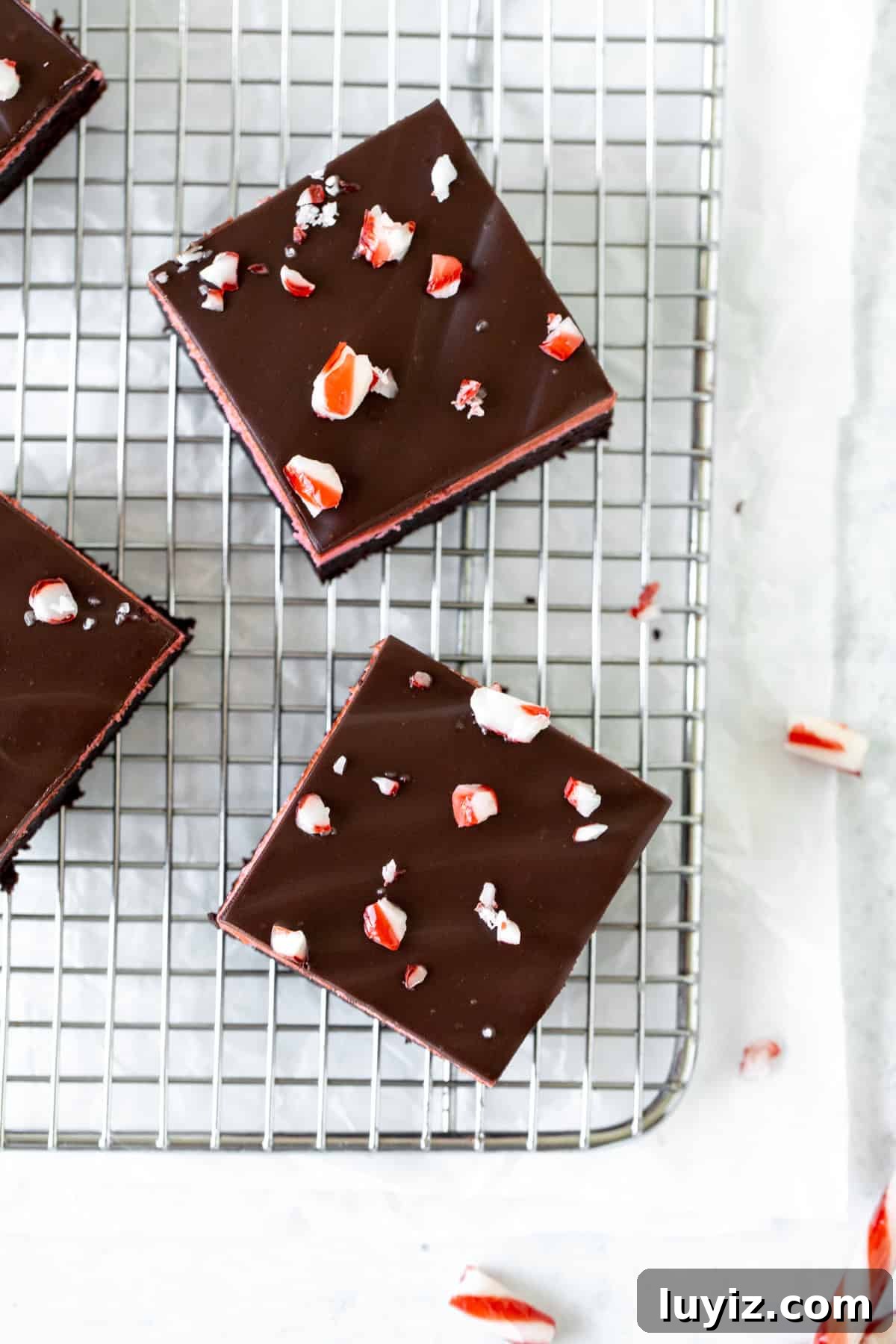 Peppermint Swirl Brownies with Candy Cane Topping 5 Candy cane brownies topped with chocolate ganache and crushed candy canes on cooling rack