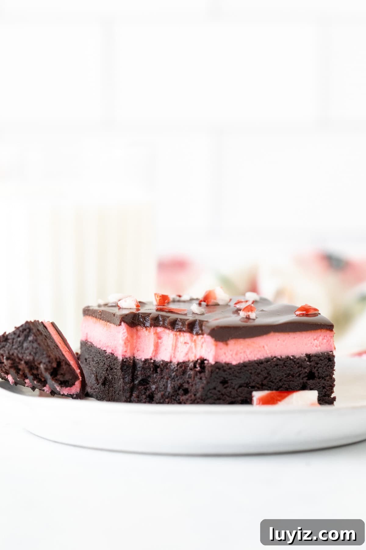 Peppermint Swirl Brownies with Candy Cane Topping 6 Candy cane brownies close up