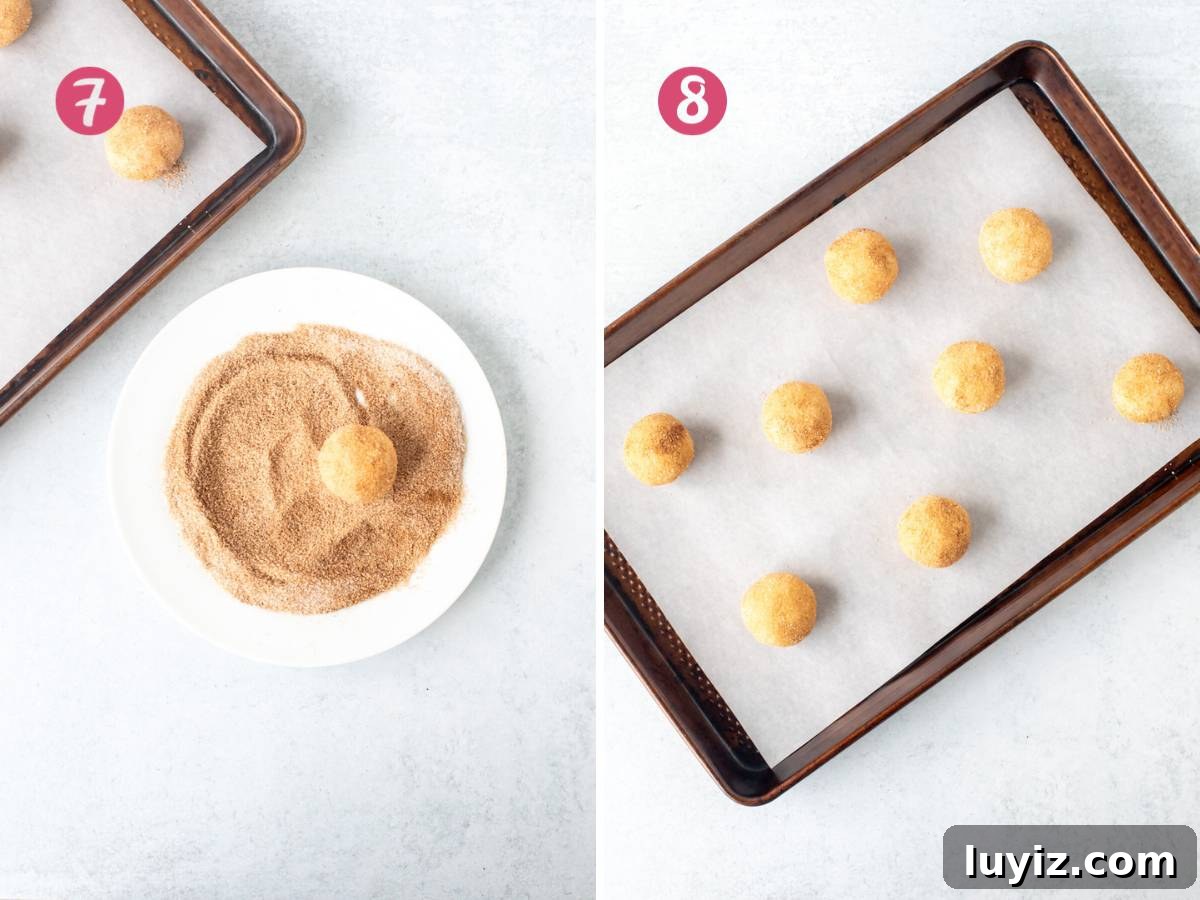 Chewy Snickerdoodle Cookies: A Classic Cinnamon Sugar Recipe 7 img 6855 6