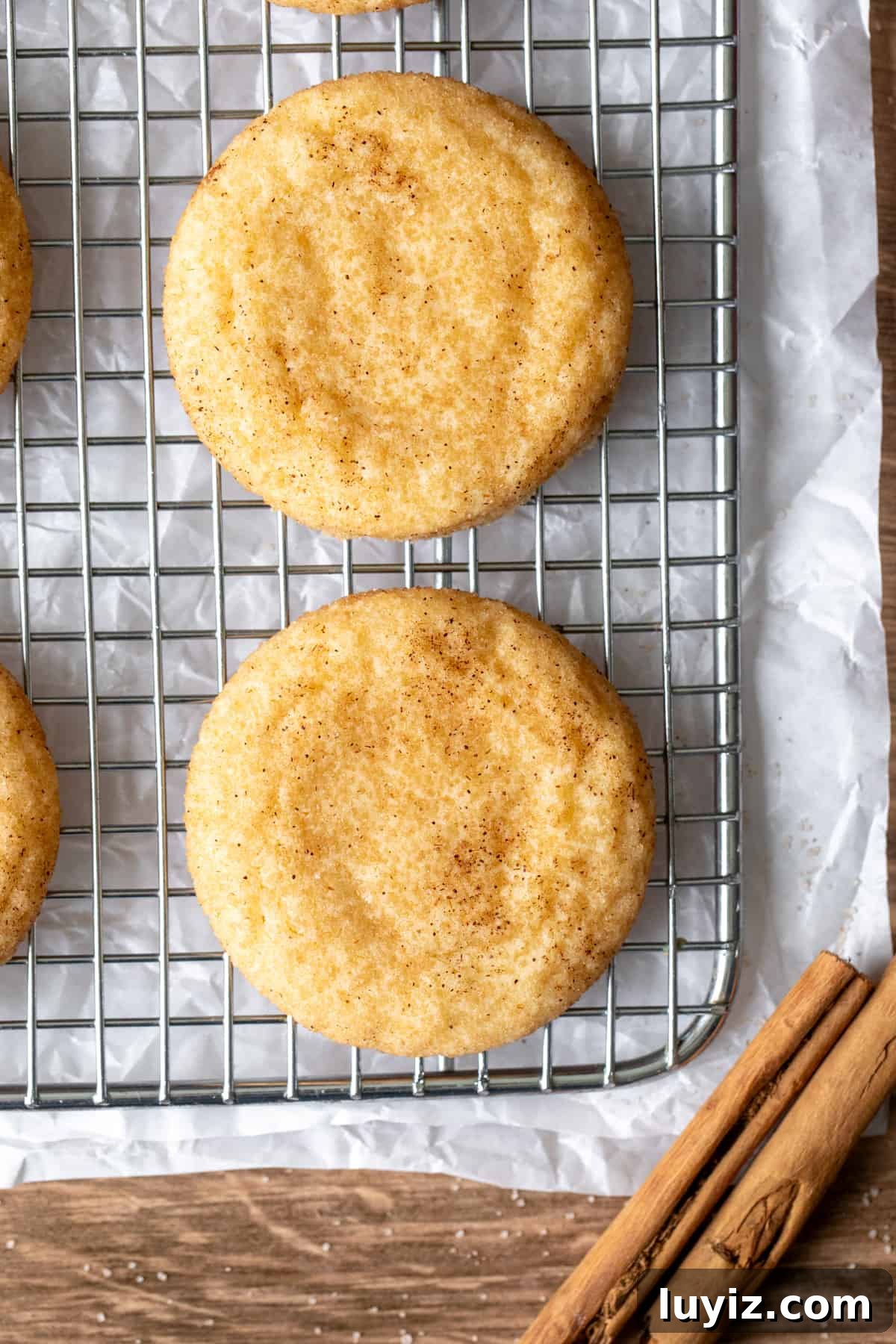 Chewy Snickerdoodle Cookies: A Classic Cinnamon Sugar Recipe 8 Chewy snickerdoodles on a cooling rack