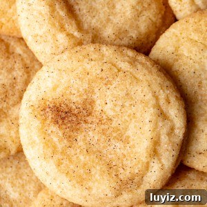 Chewy Snickerdoodle Cookies: A Classic Cinnamon Sugar Recipe 10 Snickerdoodle cookies, piled on top of each other