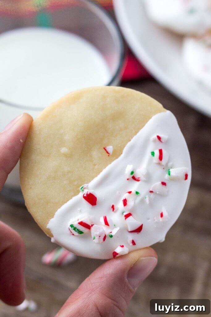 White Chocolate Peppermint Shortbread Cookies Recipe 3 Peppermint shortbread cookies topped with crushed candy canes.