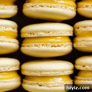 Zesty Lemon Bar Macarons: Tangy Citrus Sandwich Cookies 16 Close up of rows of lemon bar macarons.