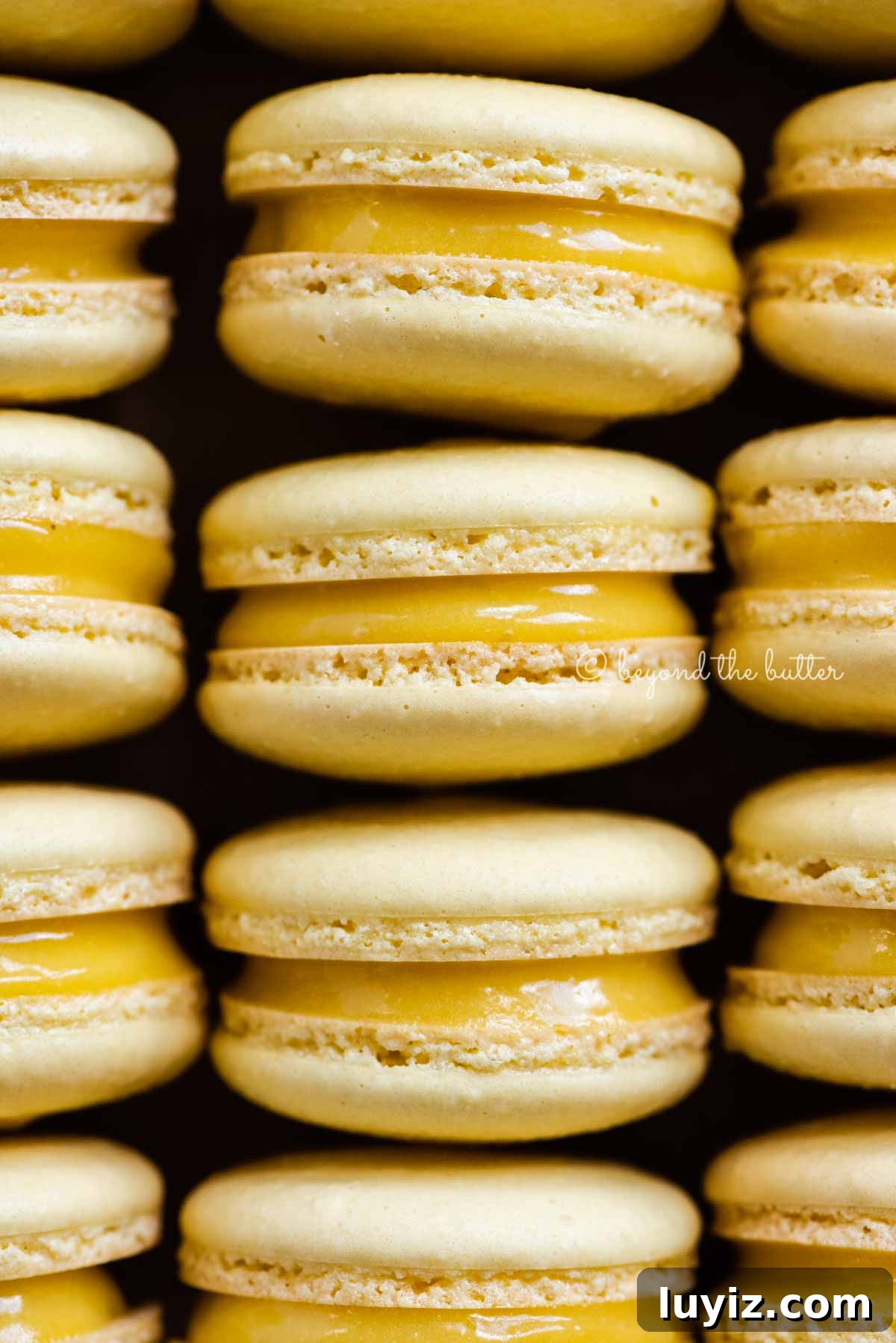Zesty Lemon Bar Macarons: Tangy Citrus Sandwich Cookies 6 Close up of lemon bar macarons on side | All Images © Beyond the Butter™