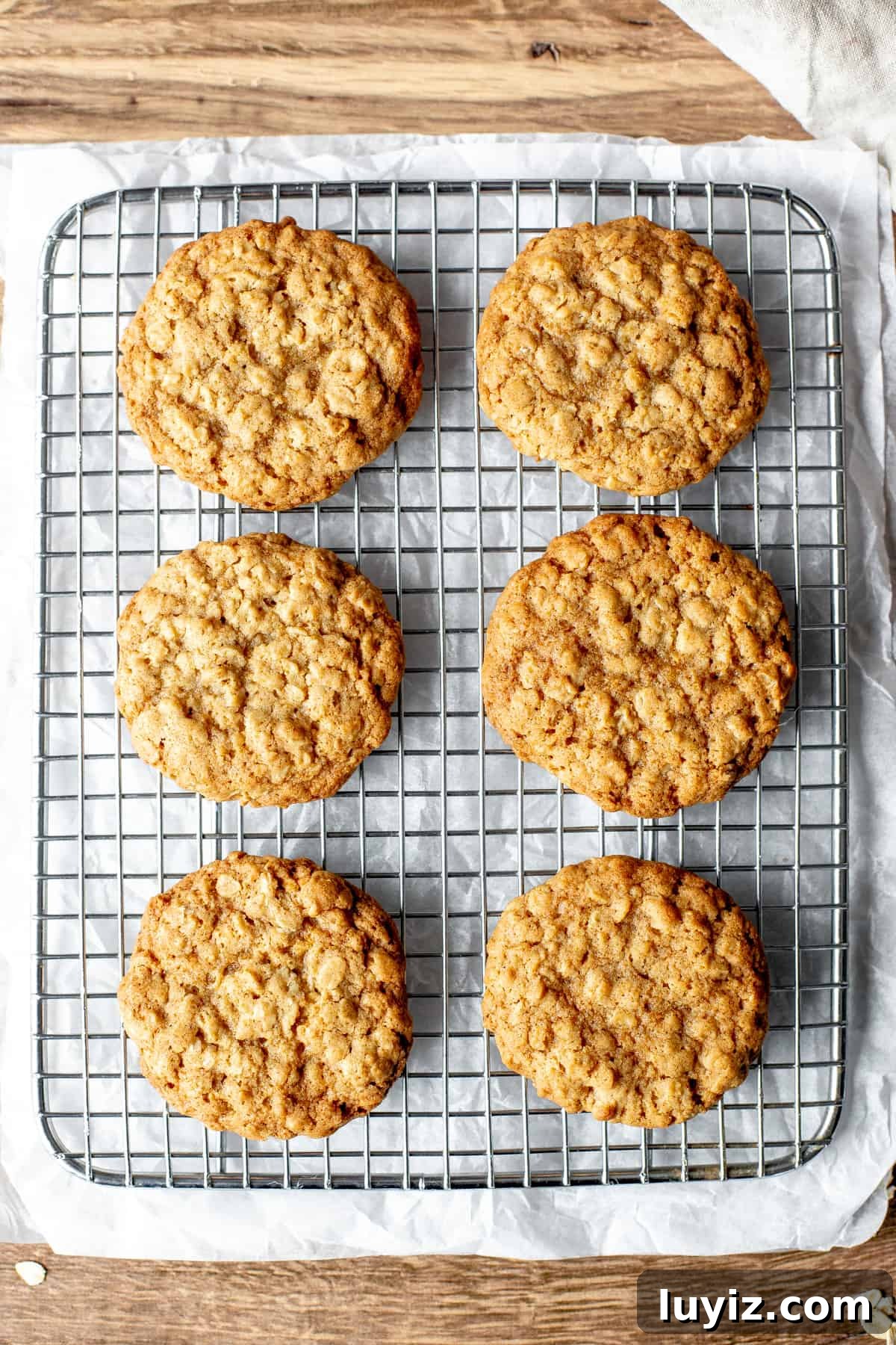 Chewy Oatmeal Cookies Recipe: Soft, Chewy & Packed with Oats 3 Cooling rack with 6 oatmeal cookies.
