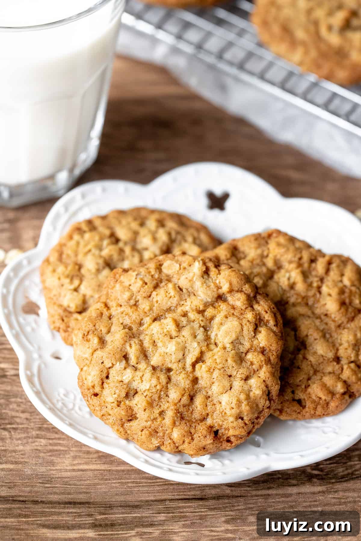 Chewy Oatmeal Cookies Recipe: Soft, Chewy & Packed with Oats 4 Plate of 3 oatmeal cookies.