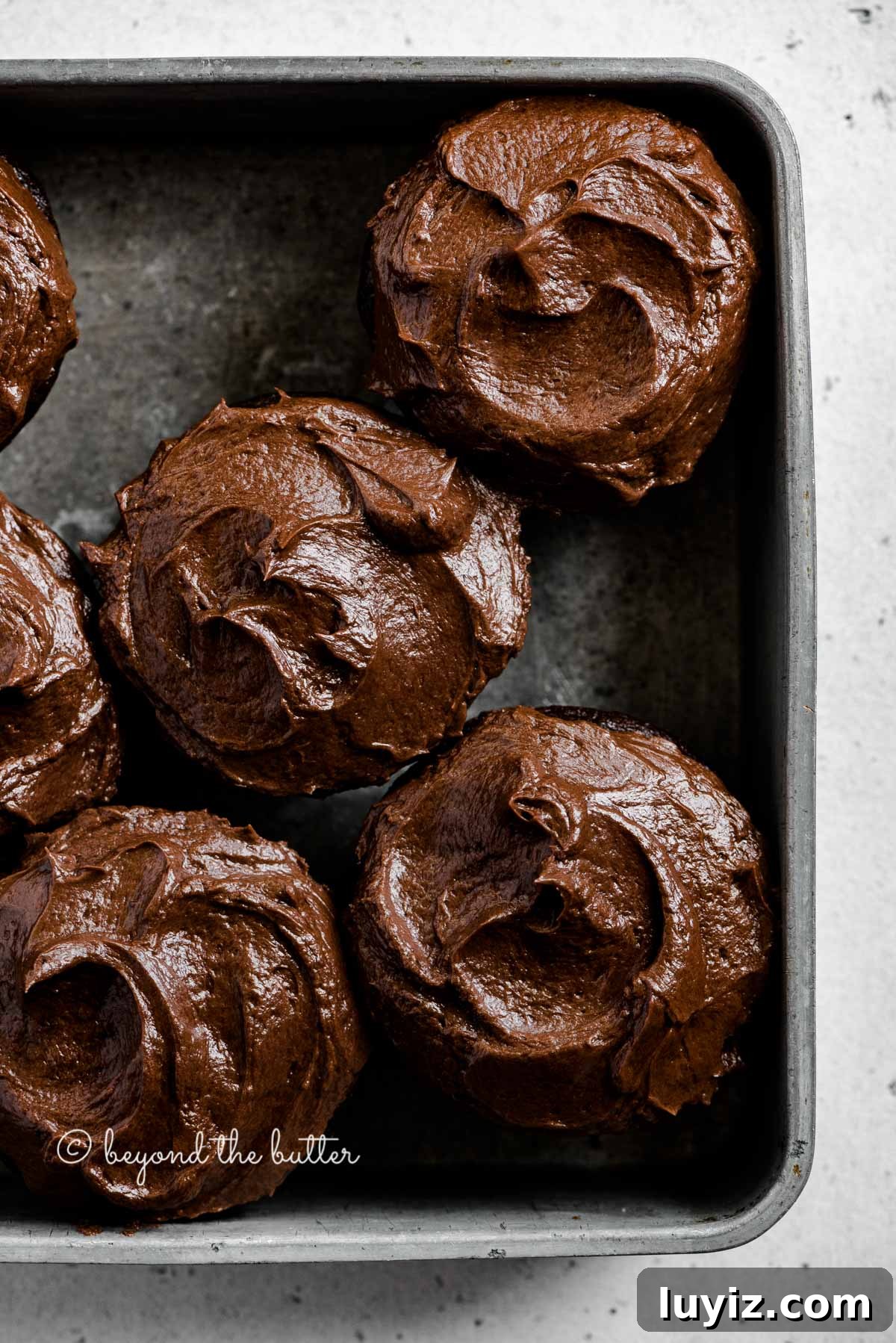 Small-Batch Chocolate Cupcakes Recipe for 12 Moist Treats 2 Overhead image of small batch chocolate cupcakes in vintage metal baking tin | All Images © Beyond the Butter™