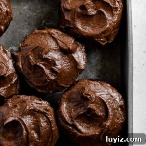 Small-Batch Chocolate Cupcakes Recipe for 12 Moist Treats 8 Overhead image of small batch chocolate cupcakes in vintage metal baking tin.