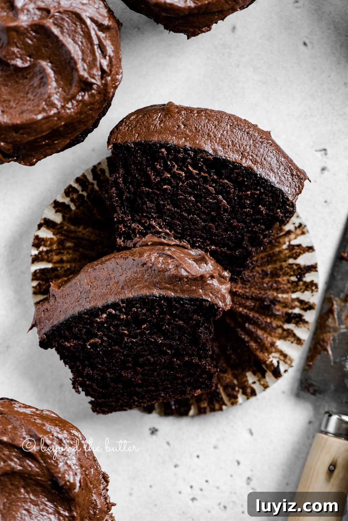 Small-Batch Chocolate Cupcakes Recipe for 12 Moist Treats 6 img 7138 6