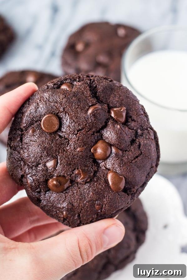 Top 10 Most Memorable Recipes of 2017 You Need to Try 4 Close up of someone holding a double chocolate chip cookie between their fingers. Glass of milk and more cookies in the foreground. www.justsotasty.com