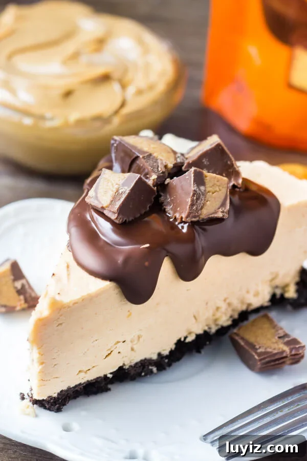Top 10 Most Memorable Recipes of 2017 You Need to Try 7 No Bake Peanut Butter Cheesecake.This no bake peanut butter cheesecake has an Oreo cookie crust, creamy peanut butter flavor, and Reese's peanut butter cups. So easy and only 15 minutes to make! www.justsotasty.com