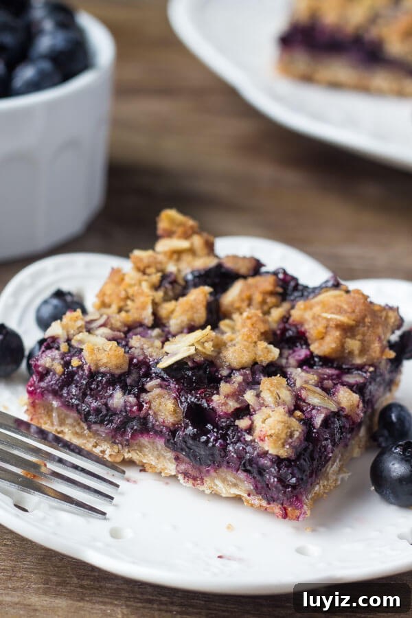 Top 10 Most Memorable Recipes of 2017 You Need to Try 9 These blueberry oatmeal crumble bars are bursting with juicy blueberries, and filled with crunchy oatmeal crumble. Delicious for breakfast or dessert - you'll love this easy recipe!