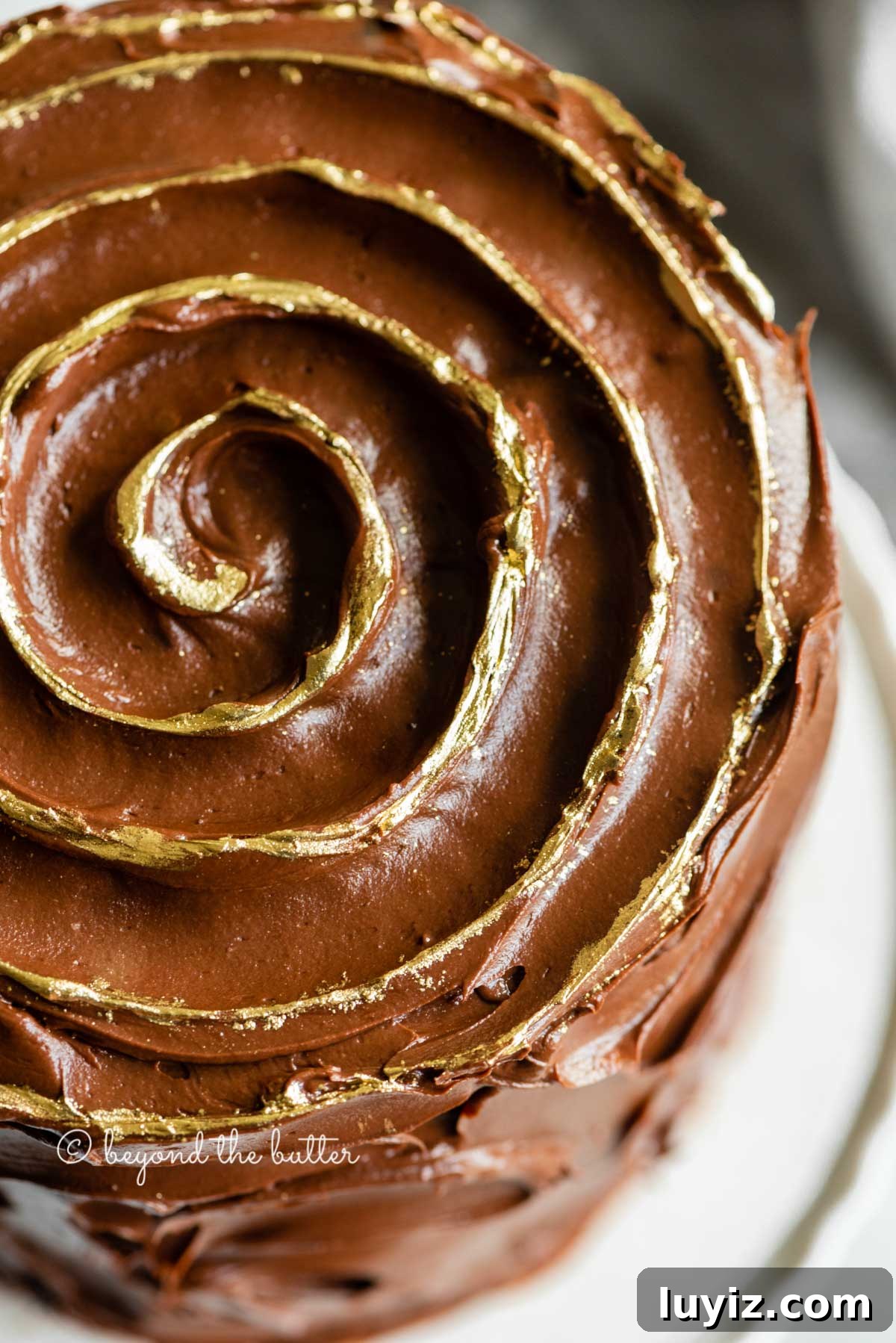 Moist Chocolate Zucchini Cake Recipe with Cocoa and Oil 12 Angled closeup image of chocolate zucchini cake with gold decorative swirl on top | All Images © Beyond the Butter™