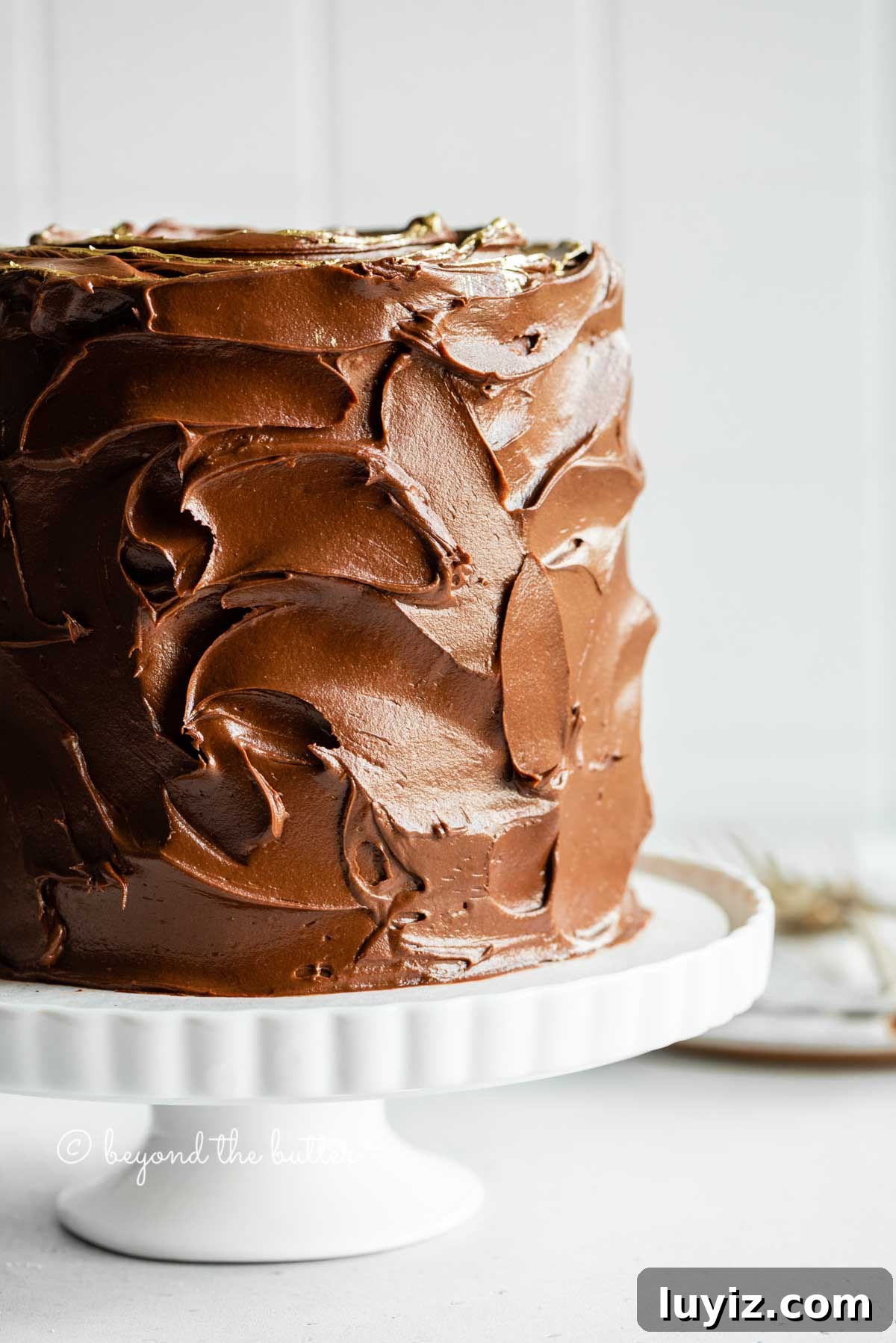 Moist Chocolate Zucchini Cake Recipe with Cocoa and Oil 3 Image of chocolate zucchini cake with chocolate chips on a white cake stand | All Images © Beyond the Butter™
