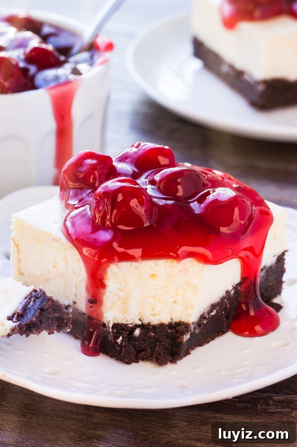Decadent Brownie Cheesecake Recipe: Fudgy Chocolate Cheesecake 6 A slice of brownie bottom cheesecake with a bite taken out of it.