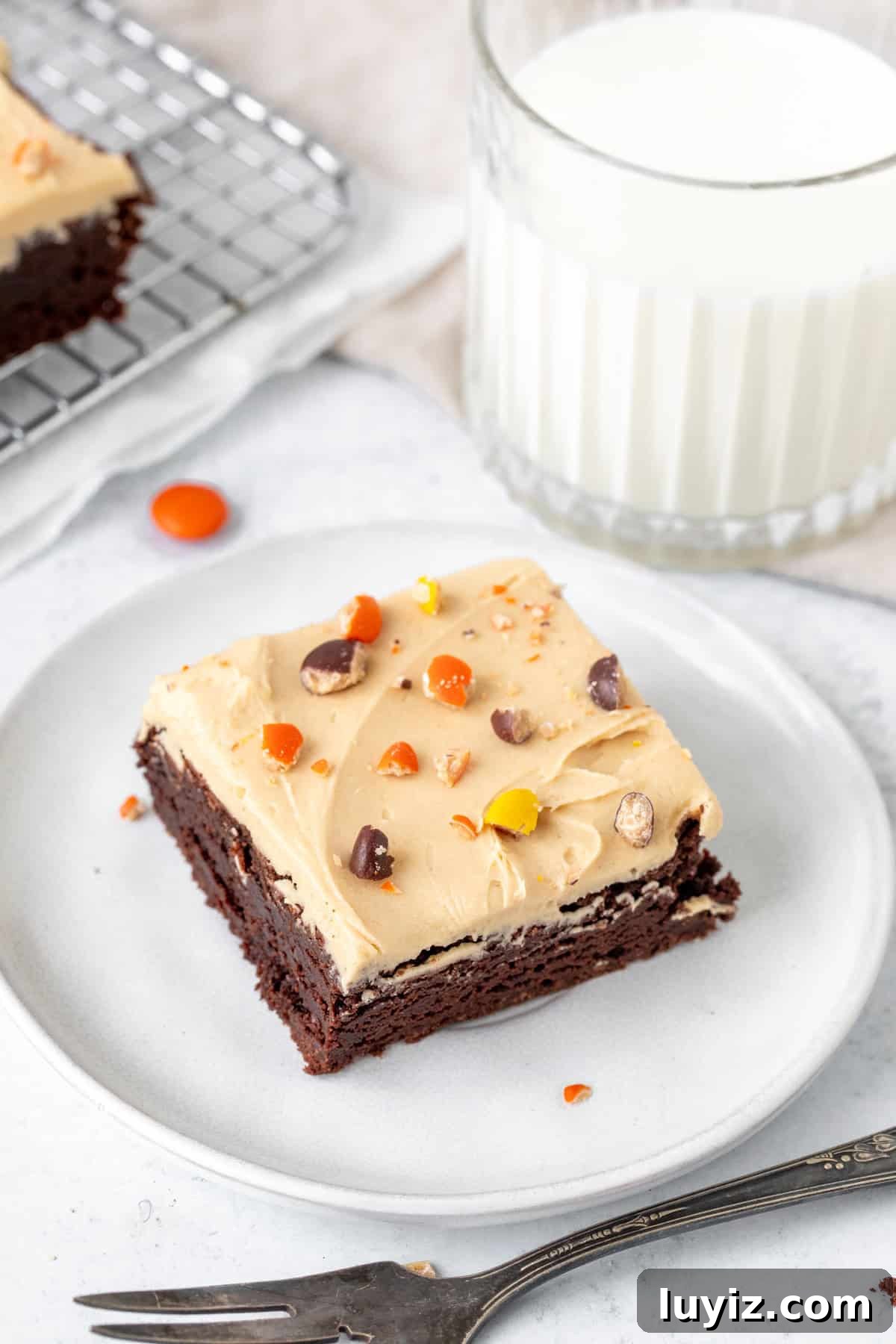 Decadent Peanut Butter Frosted Brownies Recipe 2 Chocolate brownie with peanut butter frosting with glass of milk