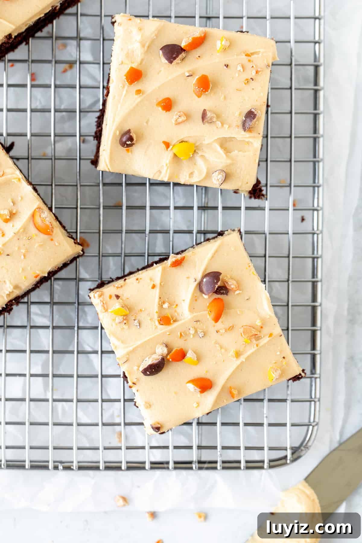 Decadent Peanut Butter Frosted Brownies Recipe 3 Peanut butter frosted brownies on a cooling rack