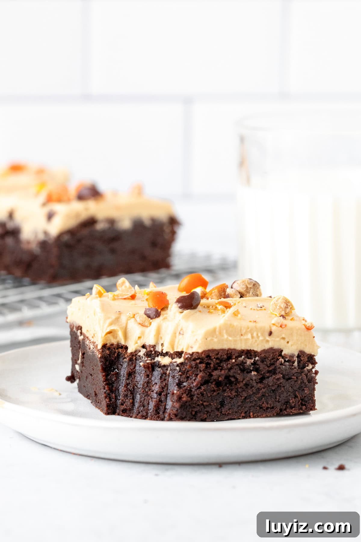 Decadent Peanut Butter Frosted Brownies Recipe 4 Peanut butter frosted brownie with a bite taken out, with a glass of milk