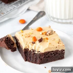 Decadent Peanut Butter Frosted Brownies Recipe 5 Chocolate brownie with peanut butter frosting on a plate