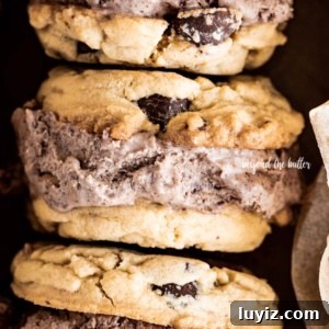 Homemade Ice Cream Cookie Sandwich Recipe for Summer Treats 13 Closeup overhead image of Homemade Ice Cream Cookie Sandwiches with No-Churn Chocolate Ice Cream.