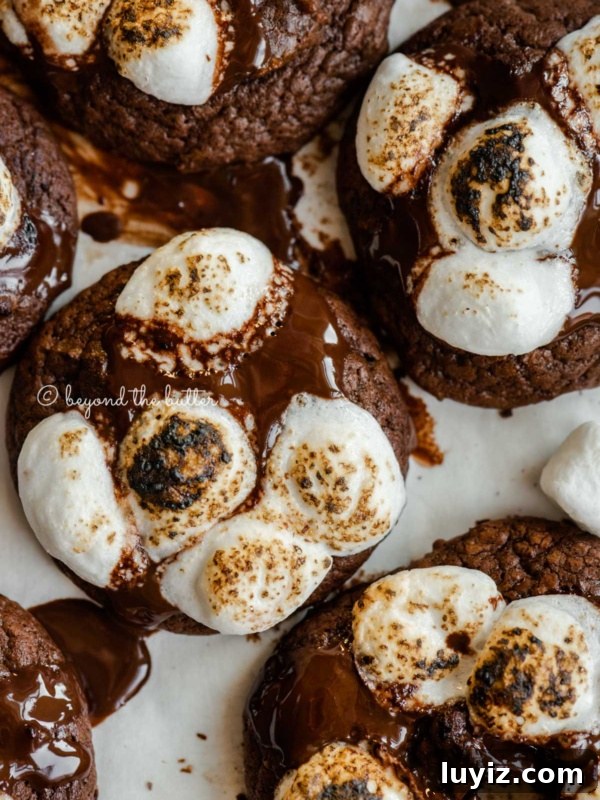 Homemade Ice Cream Cookie Sandwich Recipe for Summer Treats 6 Hot Chocolate Mini Marshmallow Cookies