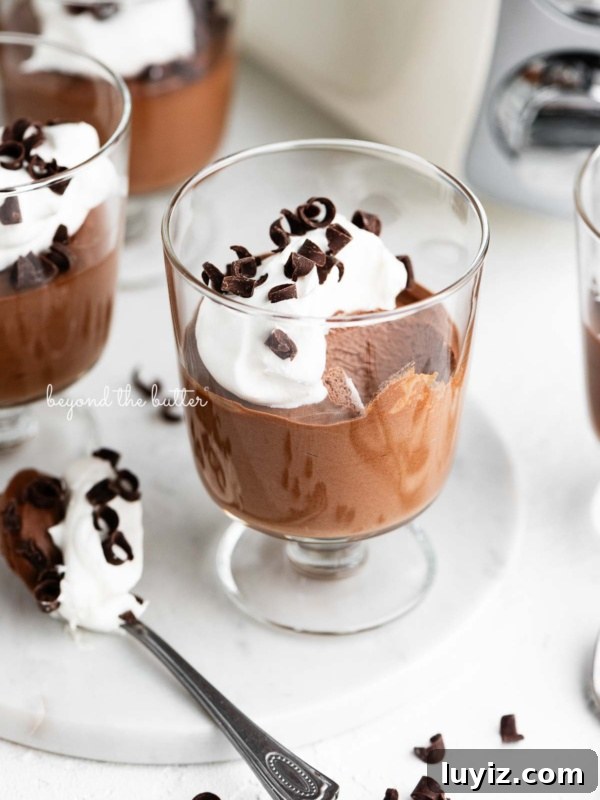 Homemade Ice Cream Cookie Sandwich Recipe for Summer Treats 9 Easy Blender Chocolate Mousse