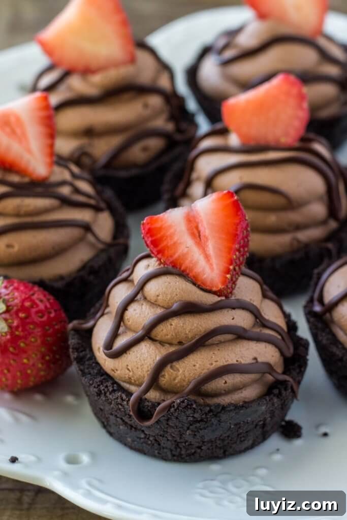 Mini No-Bake Chocolate Cheesecakes: Bite-Sized Dessert Recipe 4 A plate of no bake mini chocolate cheesecakes.