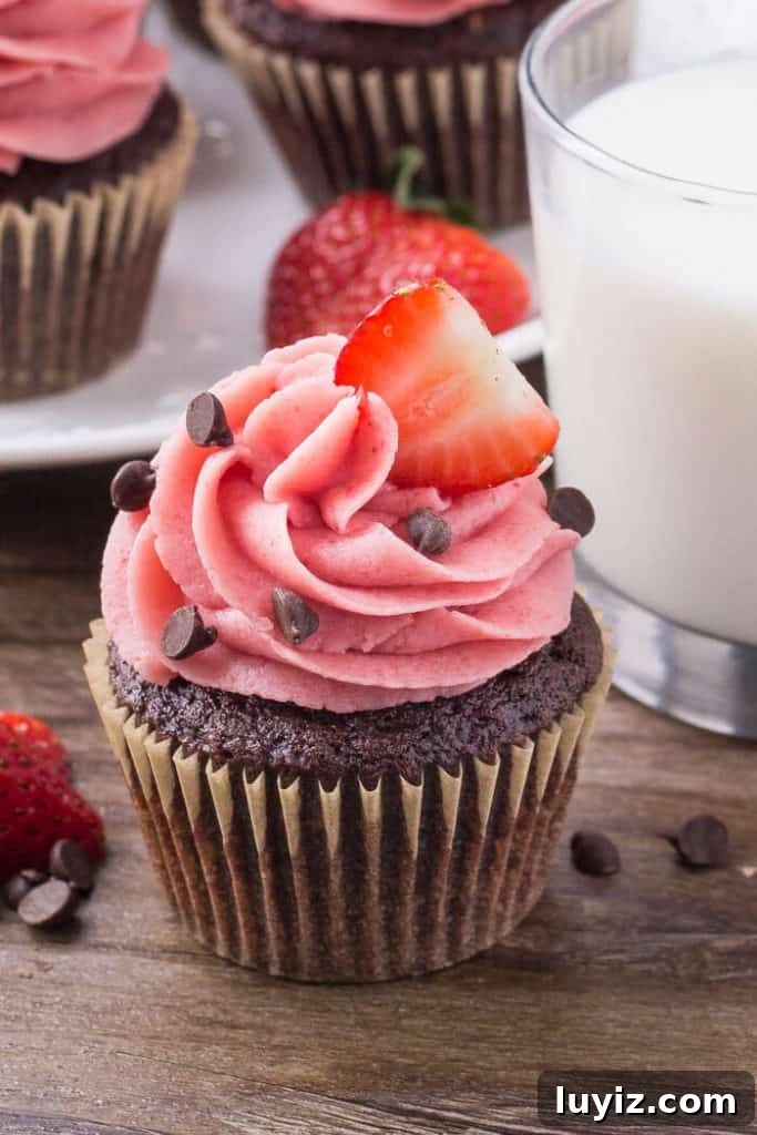 Chocolate Cupcakes Topped with Fresh Strawberry Frosting 2 Chocolate cupcakes with strawberry frosting - perfect for Valentine's Day