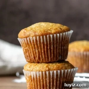 Moist Banana Bread Muffins with Cinnamon Streusel 8 Two banana bread muffins, stacked on top of each other