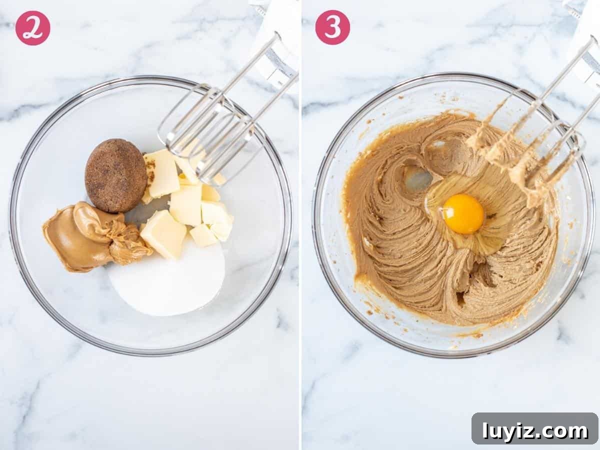 Chewy Peanut Butter Oatmeal Cookies Recipe for Perfect Bakes 3 2 steps when making peanut butter cookie dough