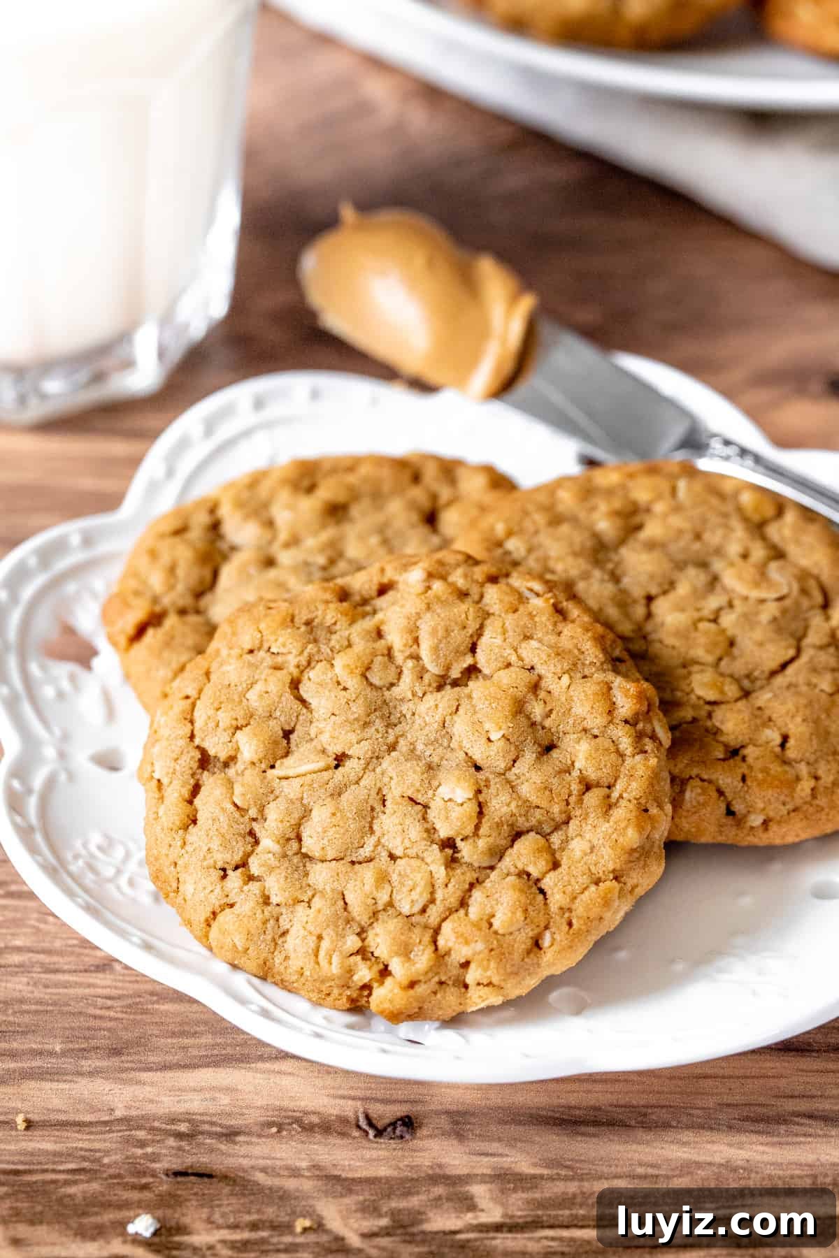 Chewy Peanut Butter Oatmeal Cookies Recipe for Perfect Bakes 6 Plate of 3 peanut butter cookies made with oats.